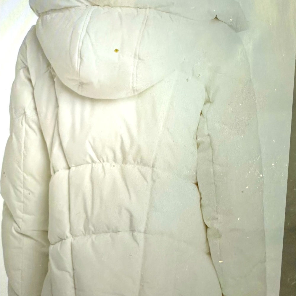 Sam Edelman Hooded Puffer Coat
